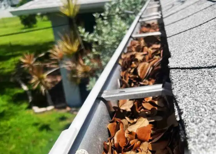 Gutter Cleaning Pisagah home page